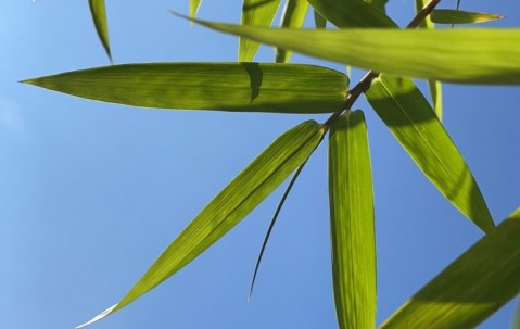 九游体育-剖垯%L5=峝9萛bu揆骃'?)!凄-籱撩鱂?y?直??慣(