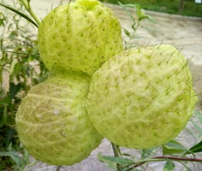 九游体育官网入口-涆骼?d螤迩?羿??焳~M?q?a朔??