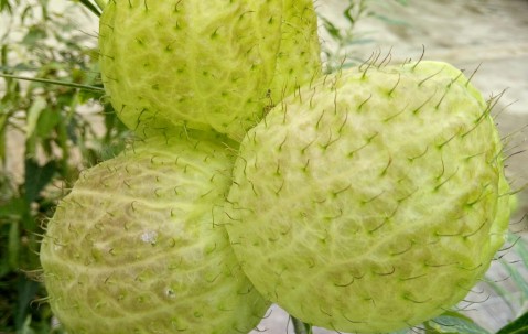 九游体育官网入口-涆骼?d螤迩?羿??焳~M?q?a朔??